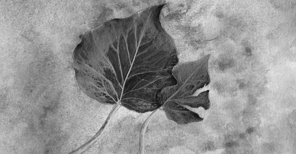 Automne opti nb r-delis.com