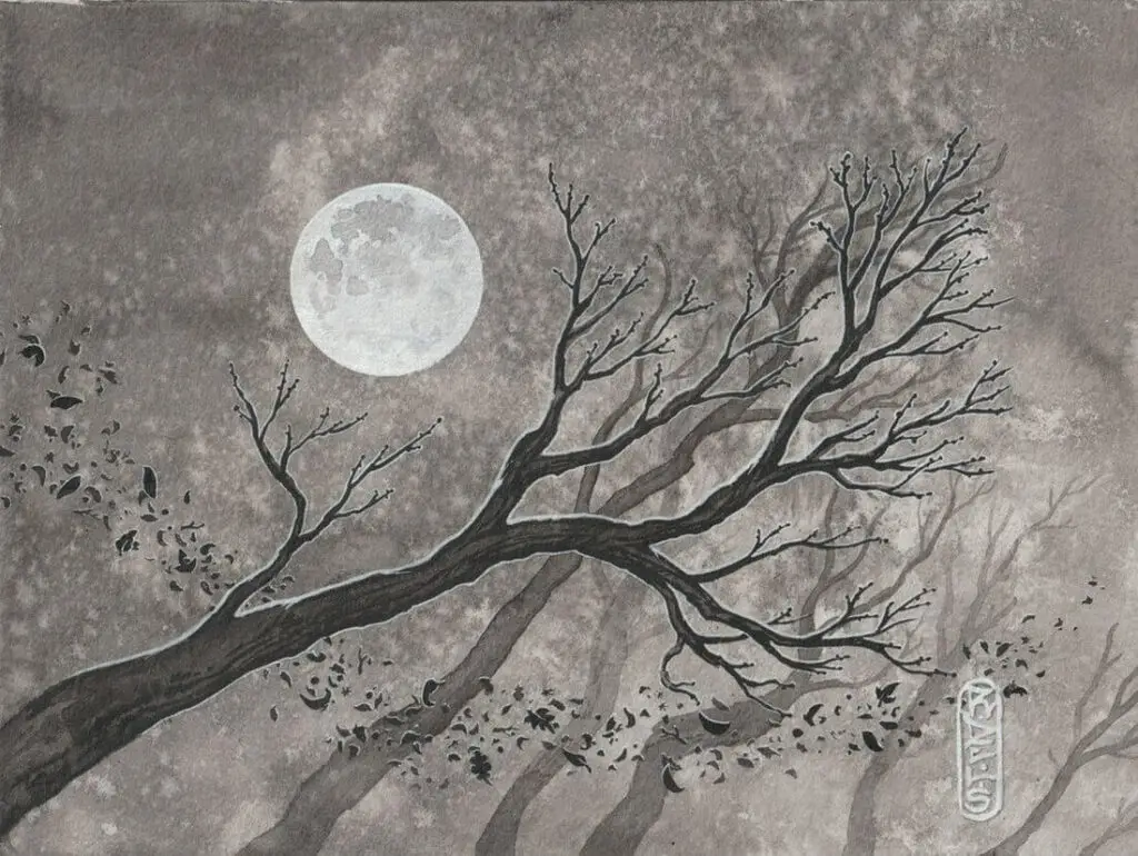 Tempête Sara r-delis.com