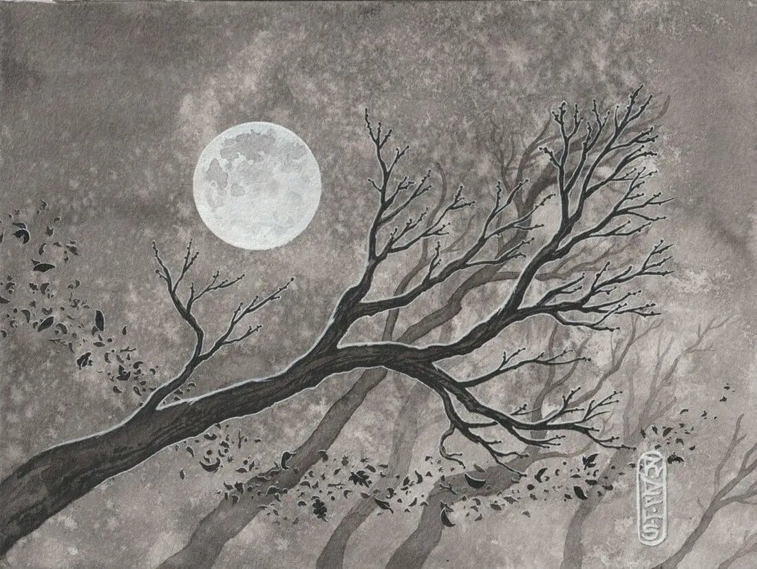 Tempête Sara r-delis.com