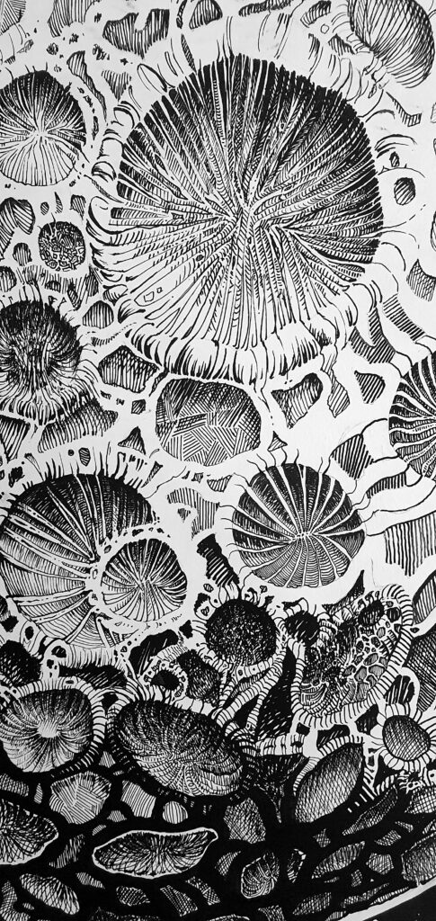 luneroide-detail2-r-delis.com