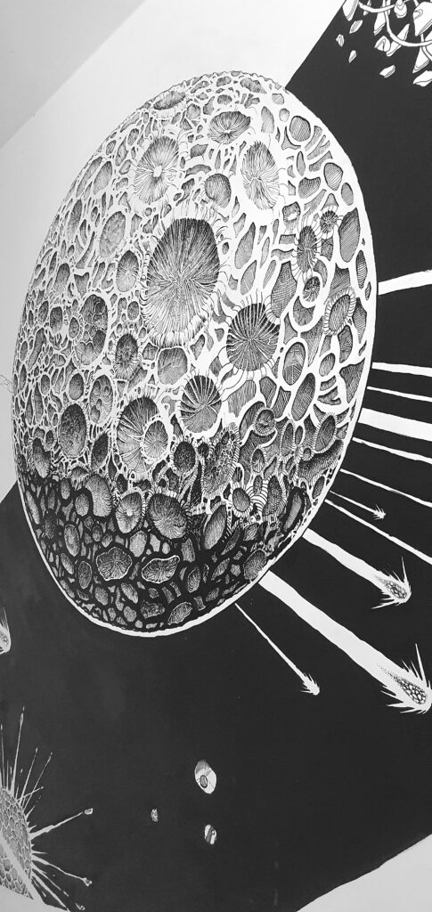 luneroide-cote-r-delis.com