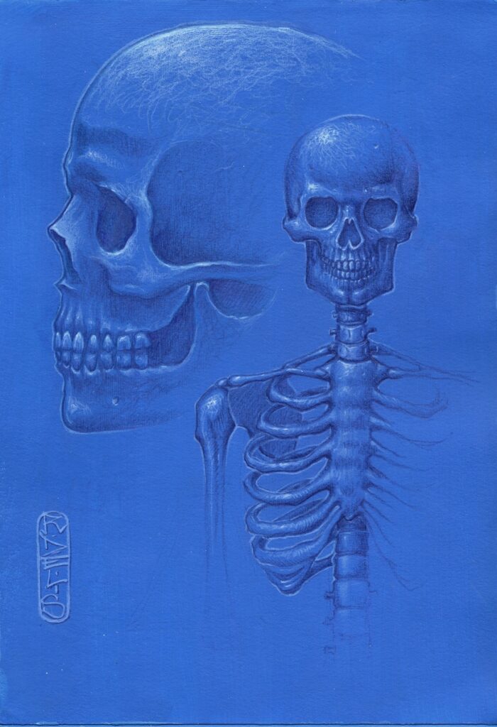 squelette-bleu-r-delis.com